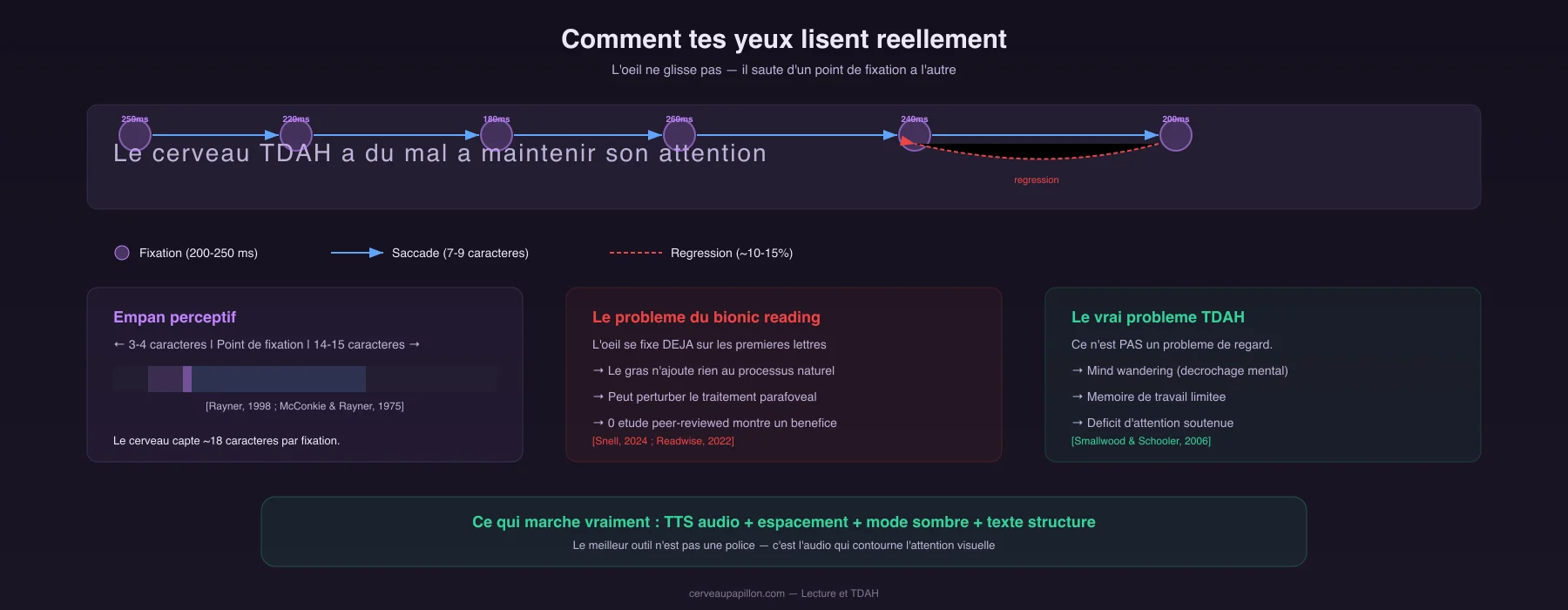 Infographie montrant comment les yeux lisent reellement : fixations saccadiques, empan perceptif de 18 caracteres, et le vrai probleme de lecture TDAH (attention soutenue, pas mouvement oculaire)