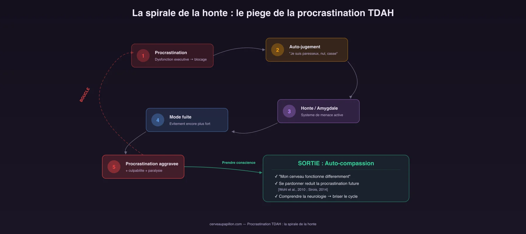 La spirale de la honte dans la procrastination TDAH : 5 etapes du cercle vicieux et la sortie par l'auto-compassion